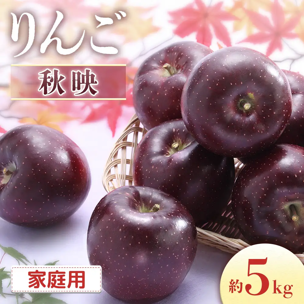 【2026年発送先行予約】りんご 秋映 約5kg（10～20玉入り）※家庭用※ ※2026年9月下旬～10月上旬発送予定※