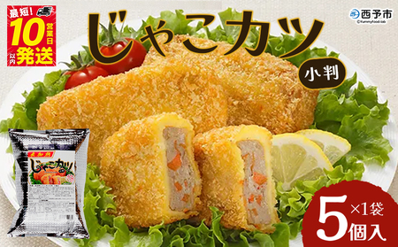 ＜じゃこカツ小判（未加熱）5個入り×1袋＞ お惣菜 小魚 さかな 魚介 すり身 じゃこ天 フライ 揚げ物 加工品 特産品 おつまみ おかず お弁当 バーガー カレー 国産 おがた蒲鉾 愛媛県 西予市 【冷凍】『1か月以内に順次出荷予定』UOK0004