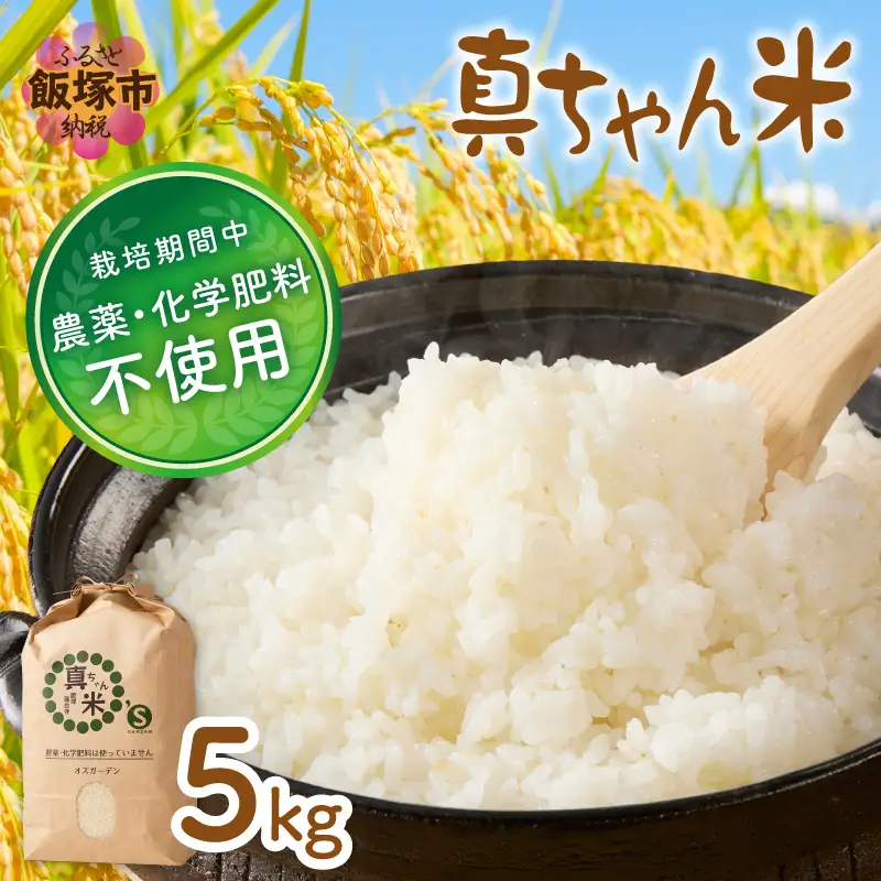 【令和8年産】農薬・化学肥料不使用 真ちゃん米 5kg	【B4-089】