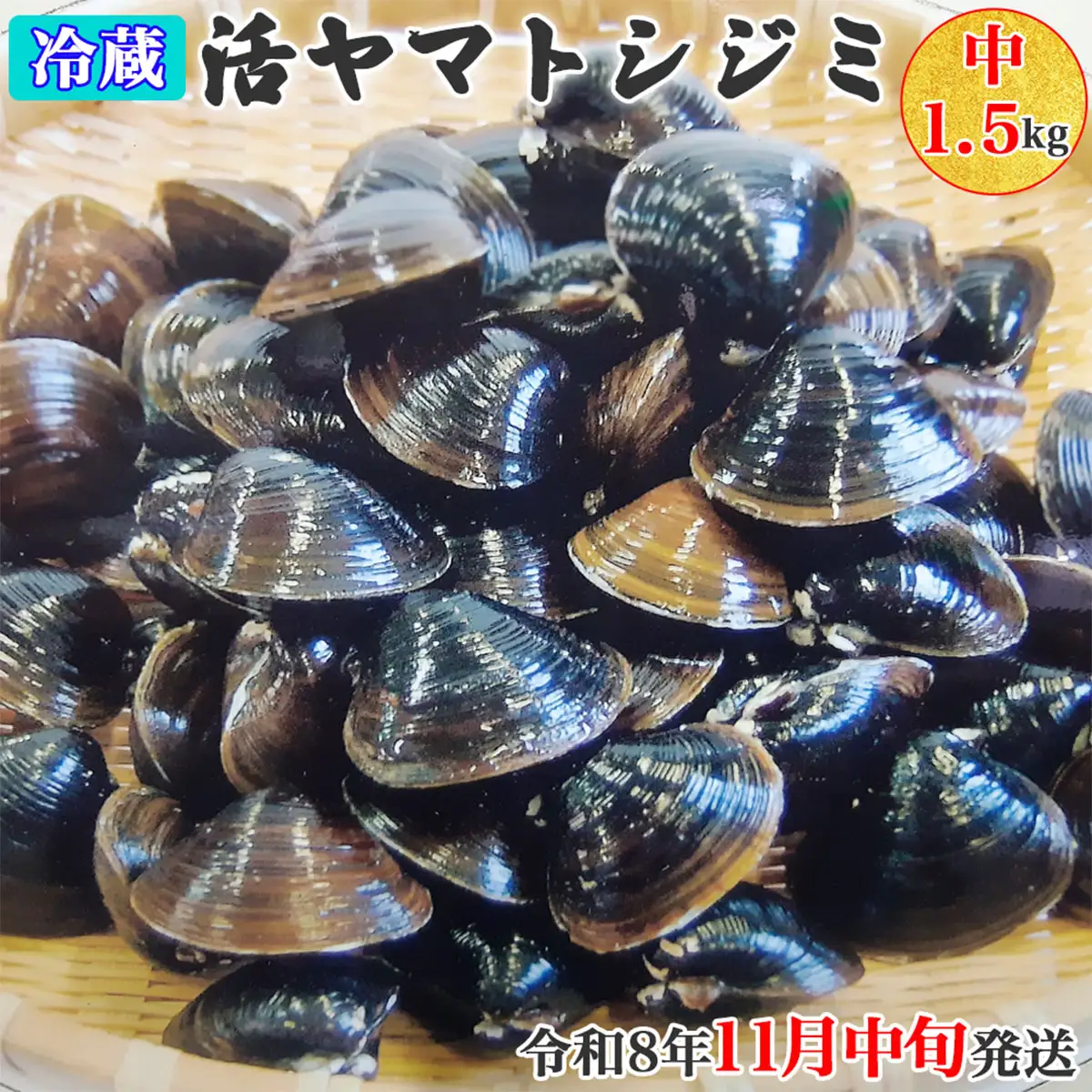 [令和8年11月中旬発送] 青森県十三湖産【冷蔵】活ヤマトシジミ 中 1.5kg [0565]