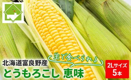 【2026年夏発送】富良野産 生で食べられる とうもろこし【恵味（めぐみ）】 2Lサイズ 5本
