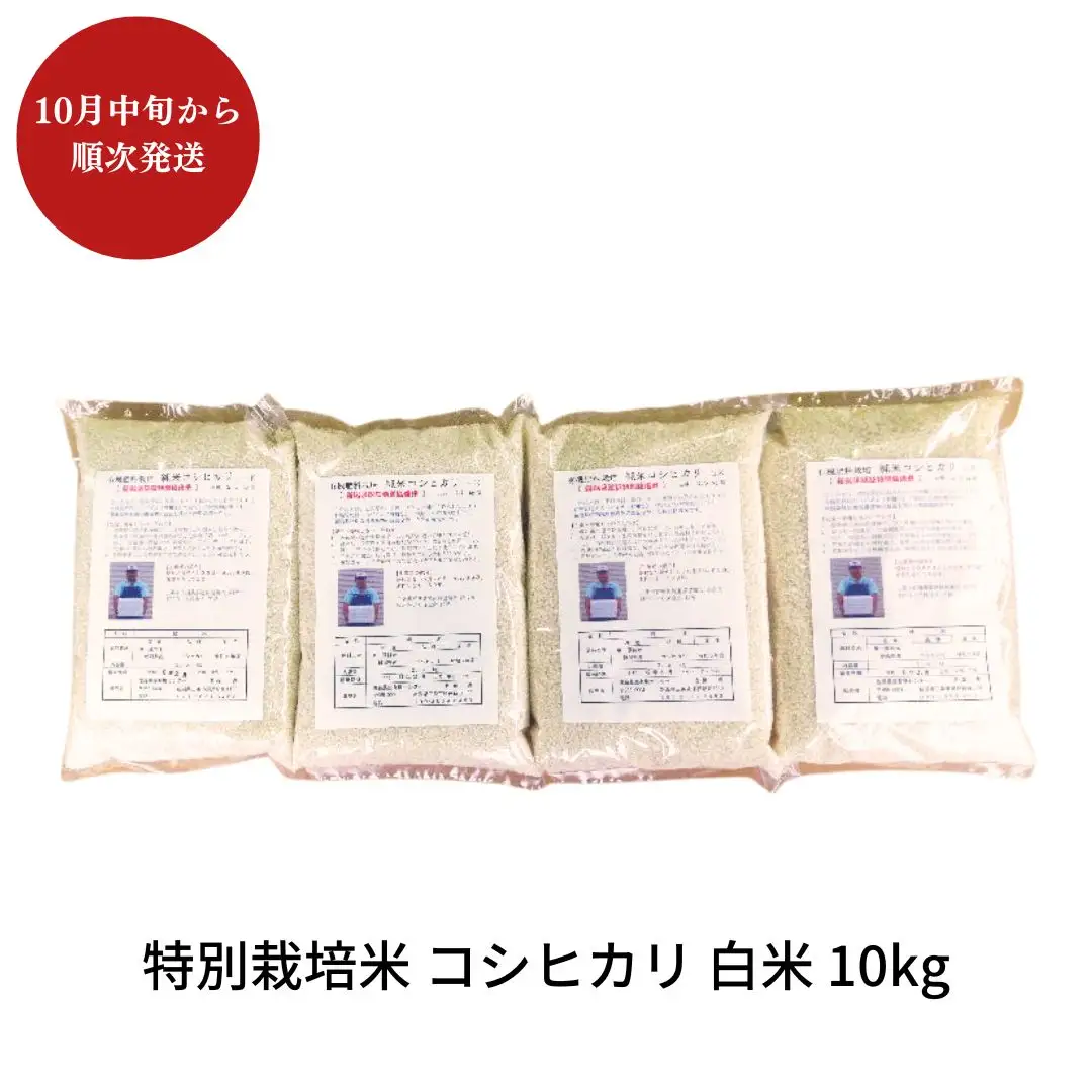 先行予約 特別栽培米コシヒカリ 白米 10kg 新潟県産 令和8年 [佐藤農産有機センター]【018S050】