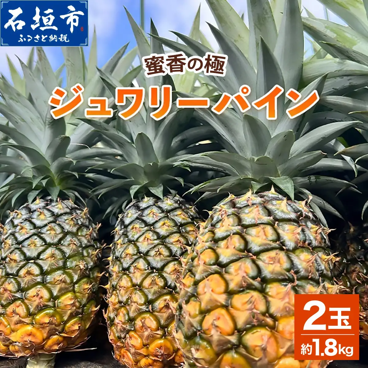 《2027年6月以降順次発送》蜜香の極 ジュワリーパイン 2玉 約1.8kg