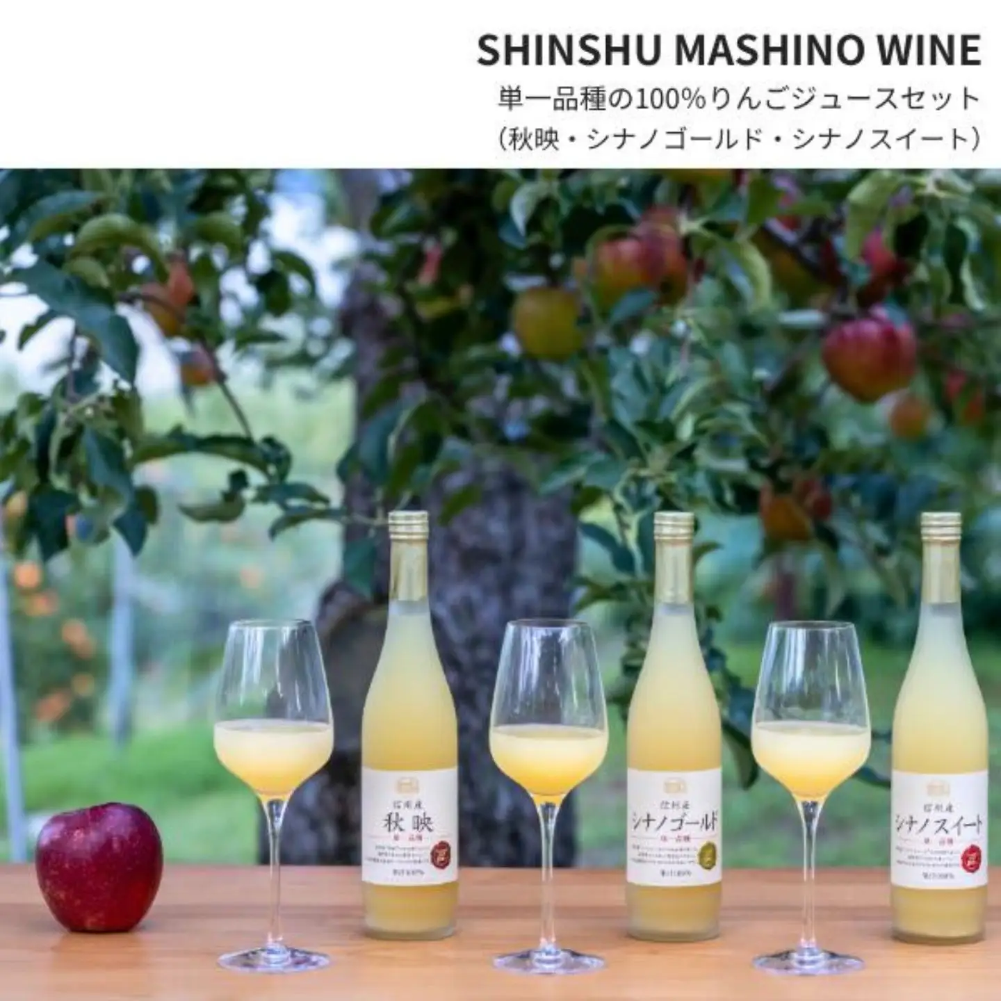 MW14 信州産 林檎ジュース3種セット （秋映/シナノスイート/シナノゴールド 500ml×3本）// 長野県 南信州 国産 りんご リンゴ ストレートジュース 果汁100％ 保存料不使用