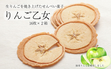 MZ06　りんご乙女 16枚×2箱 // 長野県 南信州 りんごのお菓子 薄焼きクッキー りんごせんべい フードロス 食品ロス 銘菓 お土産 ギフト 優秀味覚賞