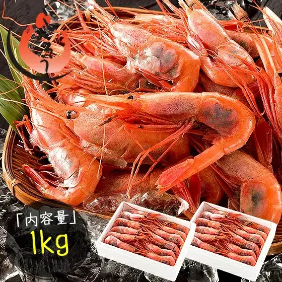 甘えび・子持ちE大サイズ約1kg(約60尾)　[053-a027_A(20)]