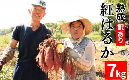 訳あり 熟成 紅はるか 7kg 2S～3Lサイズ  低温熟成  甘い おやつ おかず 国産 愛媛県 愛南町青果市場 発送:2024年12月下旬～(なくなり次第終了) 
