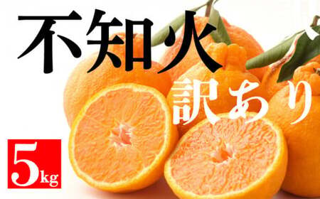 不知火 5kg 不知火 デコポン と同一品種 和家農園 愛媛県 愛南町