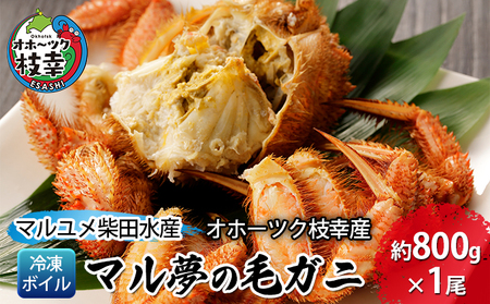 マル夢の毛ガニ約800g×1尾【冷凍ボイル】【 枝幸産 毛ガニ 蟹 かに カニ 北海道 オホーツク 枝幸 】