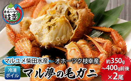 マル夢の毛ガニ約350g～400g前後×2尾【冷凍ボイル】【 枝幸産 毛カニ 蟹 かに カニ 北海道 オホーツク 枝幸 】