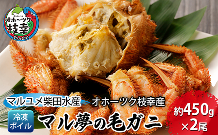 マル夢の毛ガニ約450g前後×2尾【冷凍ボイル】【 枝幸産 毛ガニ 蟹 かに カニ 北海道 オホーツク 枝幸 】