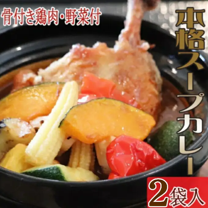 お家でスープカレー ちと辛いぞね 2袋　惣菜カレー