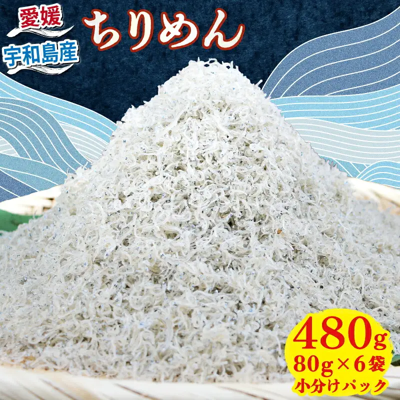 ちりめん 80g × 6袋 計 480g 時栄水産 しらす しらすしらす ちりめんちりめんちりめん D010-174002
