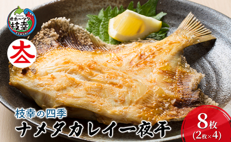 枝幸の四季 ナメタカレイ一夜干 8枚【 魚貝類 干物 カレイ 北海道 オホーツク 枝幸 】