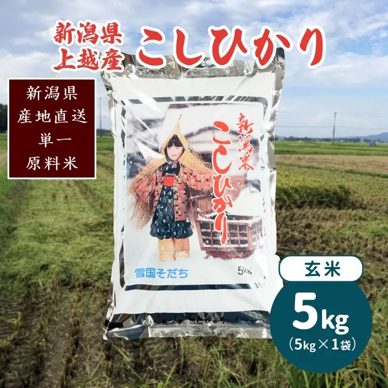 コシヒカリ 玄米 5kg 美味安全栽培 玄米 新潟県上越産