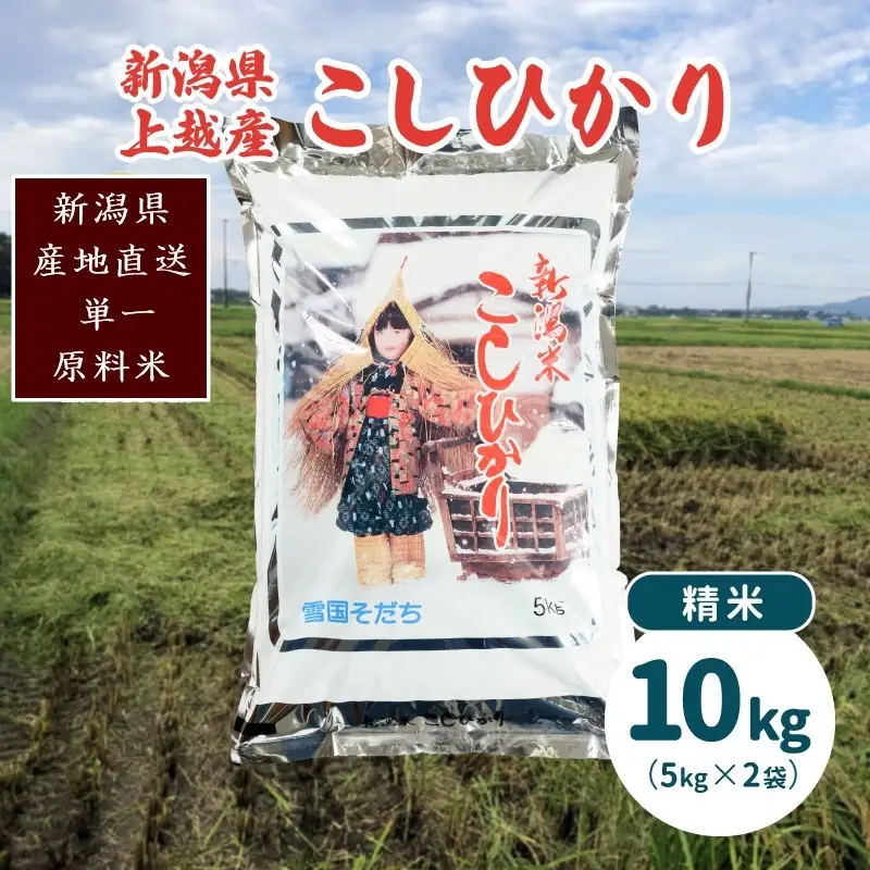 コシヒカリ 精米 10kg 美味安全栽培 コシヒカリ