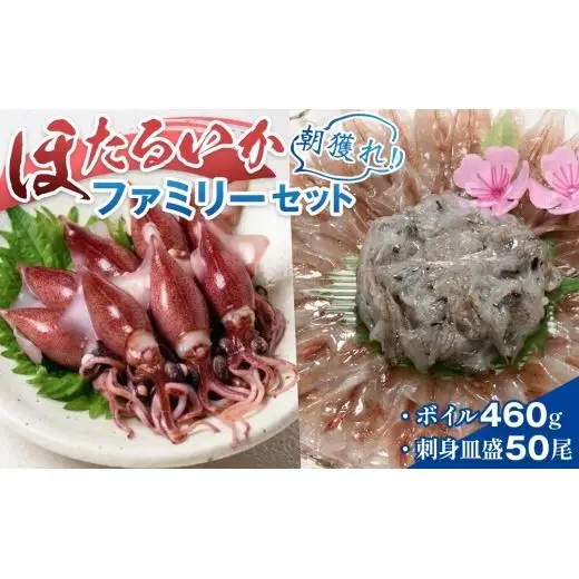 【先行予約】ほたるいか ボイル＆刺身皿盛りファミリーセット 【27年3月中旬以降順次発送】【生 ほたるいか ホタルイカ 小分け 便利 冷凍 大人気 おすすめ 国産 ホタルイカ 水揚げ いか イカ カネツル砂子商店 冷蔵 朝どれ おつまみ 旬 富山】