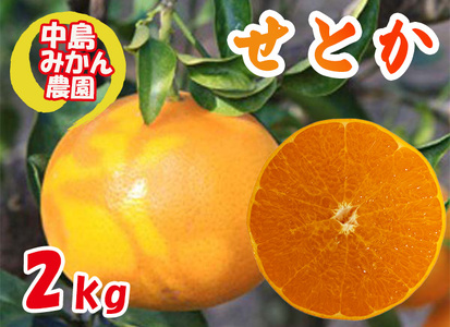 【せとか】【2027年3月頃から順次発送】 せとか 小玉 2kg 愛媛県松山市【NM0111】