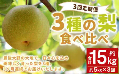 037-1054x2【先行予約】【3回定期便】 3種の梨 食べ比べ 定期便 約5kg×3回 合計 約15kg【2026年9月上旬～2026年12月上旬発送予定】