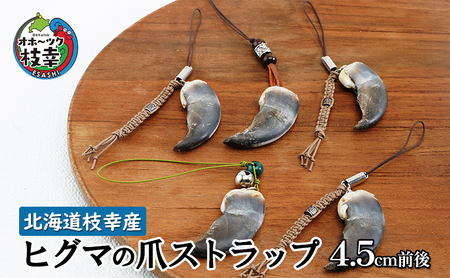 北海道枝幸産 ヒグマの爪ストラップ 4.5cm前後【 くま 熊 ヒグマ 羆 アクセ スマホ ファッション小物 アクセサリー 民芸品 工芸品 伝統技術 北海道 オホーツク 枝幸 】