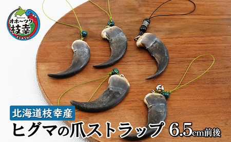 北海道枝幸産 ヒグマの爪ストラップ 6.5cm前後【 くま 熊 ヒグマ 羆 アクセ スマホ ファッション小物 アクセサリー 民芸品 工芸品 伝統技術 北海道 オホーツク 枝幸 】
