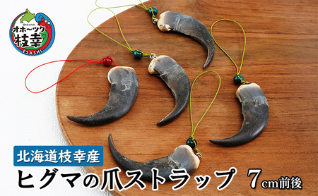 北海道枝幸産 ヒグマの爪ストラップ 7cm前後【 くま 熊 ヒグマ 羆 アクセ スマホ ファッション小物 アクセサリー 民芸品 工芸品 伝統技術 北海道 オホーツク 枝幸 】