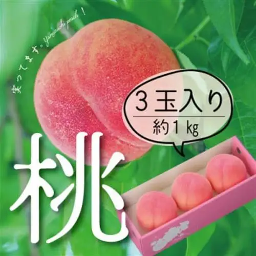 【2027年(来年)発送　先行受付】山梨直送!完熟桃3玉入り  ギフト化粧箱入り お試しサイズ【配送不可地域：離島・沖縄県】【1485567】