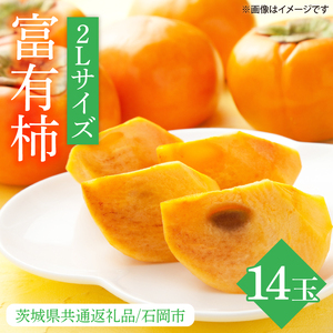 【2026年10月下旬より順次発送】【数量限定】富有柿 2L 14玉【茨城県共通返礼品/石岡市】（IU-10）