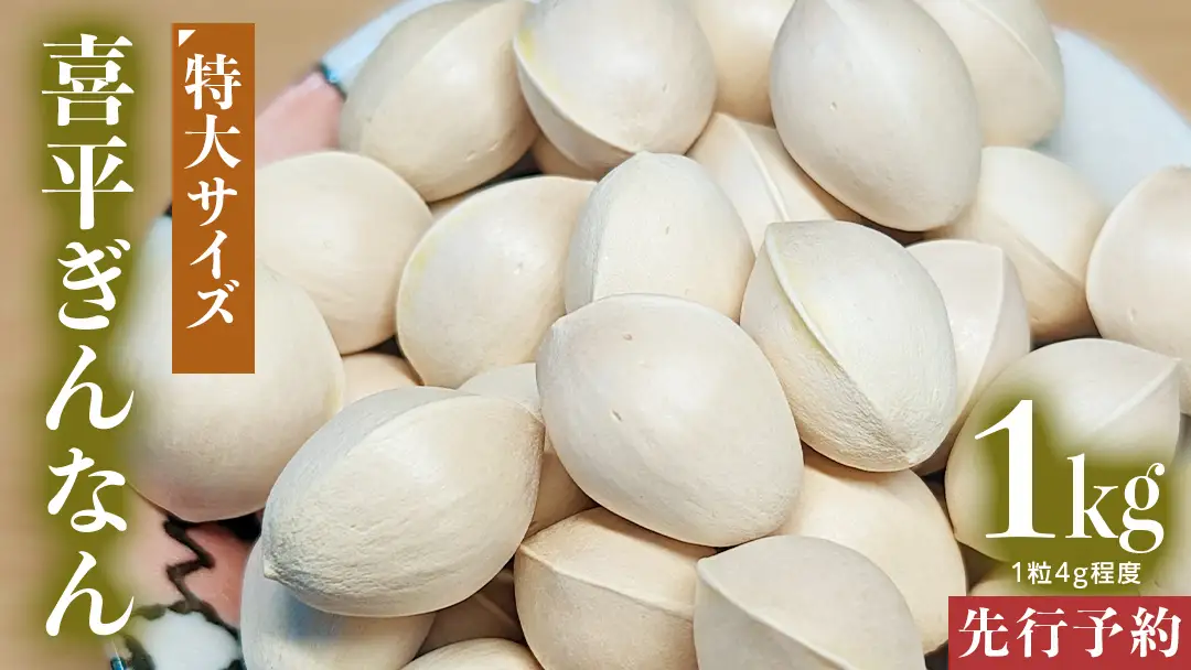【先行予約】 喜平 ぎんなん 1kg (1粒4.0g程度・特大サイズ) 【2026年10月中旬より発送開始】  