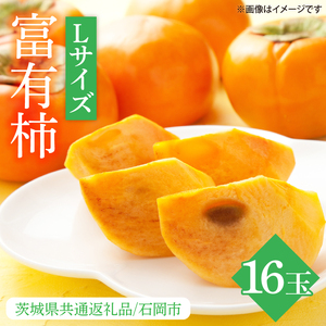 【2026年10月下旬より順次発送】【数量限定】富有柿 L 16玉【茨城県共通返礼品/石岡市】（IU-9）