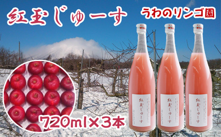 りんごじゅーす 720ml 紅玉 3本 セット 【うわのリンゴ園】 