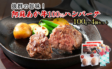 ハンバーグ あか牛 阿蘇 牛肉100% ハンバーグ【4個 2p×2】