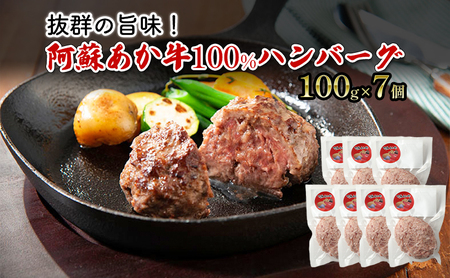 ハンバーグ 阿蘇あか牛 100% ハンバーグ【100g×7個】