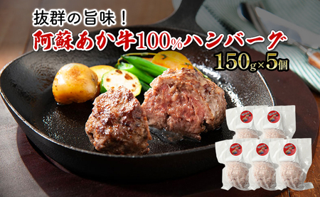 ハンバーグ 阿蘇あか牛 100% ハンバーグ【150g×5個】