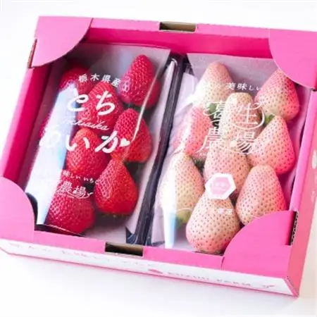 紅白いちご(とちあいか、ミルキーベリー)大粒 詰め合わせ(300g×1パックずつ)_果物・フルーツ いちご  イチゴ 苺_【配送不可地域：離島】【1484008】