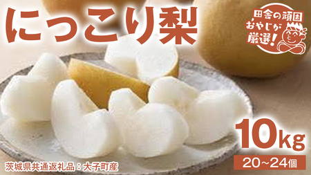 にっこり梨 10kg（20～24個）【2026年10月より発送開始】（茨城県共通返礼品 [梨]：大子町産）