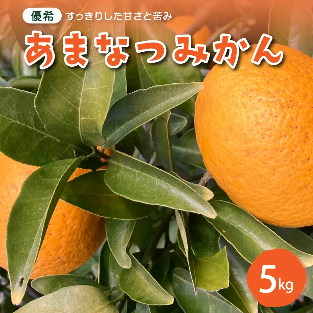 【先行受付】【2027年2月中旬～発送】栽培期間中無農薬 甘夏みかん 5kg　ミカン 蜜柑 あまなつ 果物 くだもの フルーツ 柑橘 送料無料 産地直送 お取り寄せ 広島県 呉市 ku044-009-26