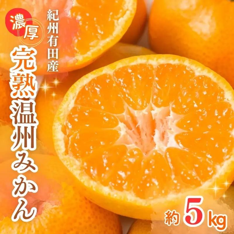 【先行予約】紀州有田産 濃厚完熟 温州みかん 5kg ※2026年11月下旬～2027年1月下旬頃に順次発送予定 【uot006】