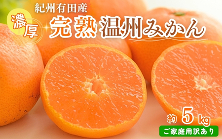 【先行予約】紀州有田産 濃厚完熟 温州みかん 5kg 【家庭用 訳あり】 ※2026年11月下旬～2027年1月下旬頃に順次発送予定/ みかん ミカン 蜜柑 温州みかん 柑橘 フルーツ 果物 くだもの 和歌山【uot003】
