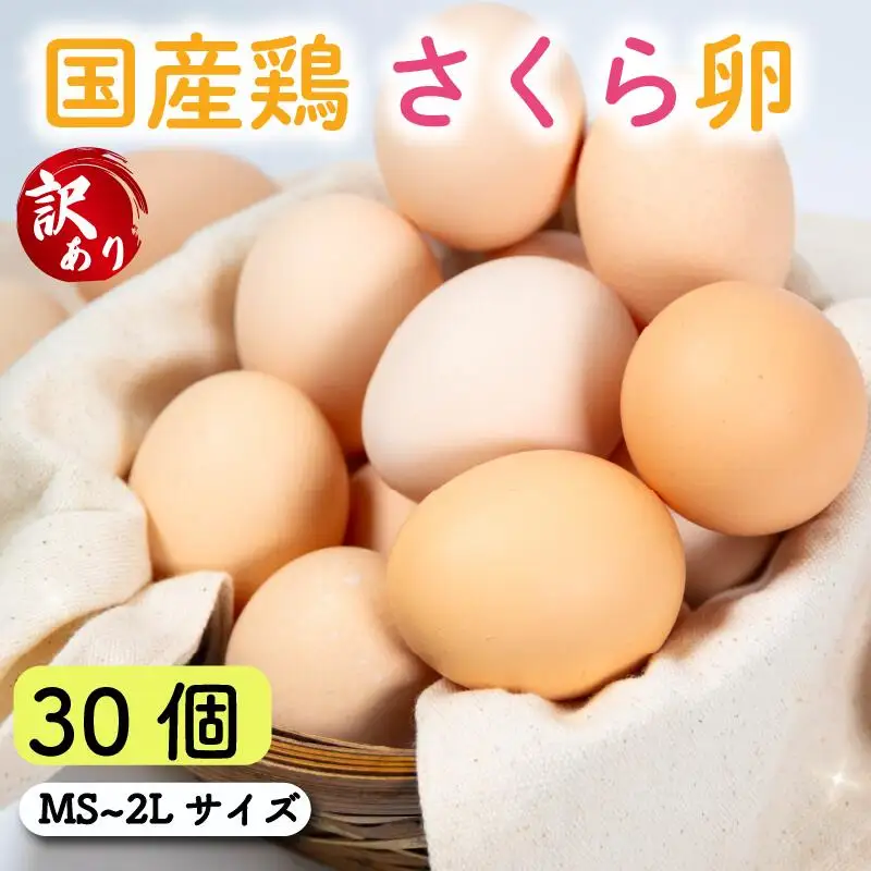 卵 30個 ( たまご 25個 + 割れ補償 5個 ) 国産 鶏 さくら 簡易包装 コクのある 濃い 風味 とれたて 生たまご 滋賀 地産地消 の 飼料米 玉子 産みたて 国産 新鮮 卵かけご飯 大容量 生 卵 鶏 天然 すき焼き 目玉 焼き 滋賀県 竜王町玉子 鶏卵 生卵 産地