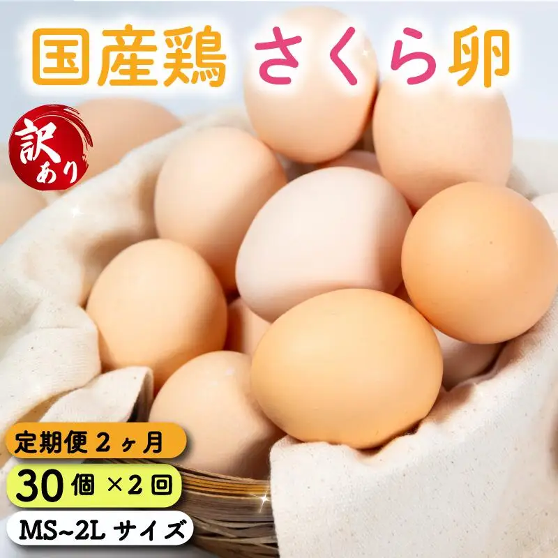 定期便 卵 30個 ( たまご 25個 + 割れ補償 5個 ) 2回 2ヶ月 定期便 国産 鶏 さくら 簡易包装 コクのある 濃い 風味 とれたて 生たまご 滋賀 地産地消 の 飼料米 玉子 産みたて 国産 新鮮 卵かけご飯 大容量 生 卵 鶏 天然 すき焼き 目玉 焼き 滋賀県 竜王町 玉子 鶏卵 生卵 産地直送                                                                                                                                                                 