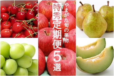 【2026年発送】【定期便5回】山形の果物特選5種(さくらんぼ/メロン/シャインマスカット/ラ・フランス/サンふじりんご)_H199(R8)