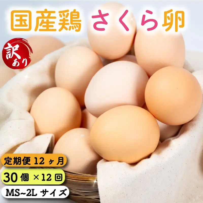 定期便 卵 30個 ( たまご 25個 + 割れ補償 5個 ) 12回 12ヶ月 定期便 国産 鶏 さくら 簡易包装 コクのある 濃い 風味 とれたて 生たまご 滋賀 地産地消 の 飼料米 玉子 産みたて 国産 新鮮 卵かけご飯 大容量 生 卵 鶏 天然 すき焼き 目玉 焼き 滋賀県 竜王町 玉子 鶏卵 生卵 産地直送                                                            