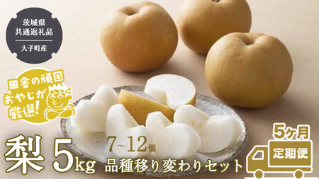 【定期便】梨 5kg（7～12個）品種移り変わりセット【2026年8月より5か月連続で発送】（茨城県共通返礼品 [梨]：大子町産）
