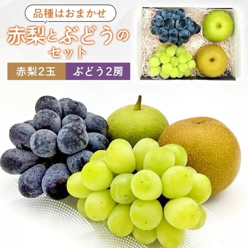 B-1170 赤梨とぶどうのセット