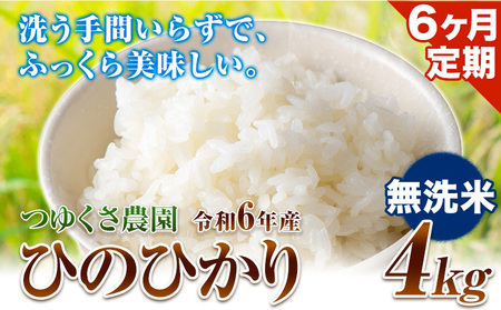 【6ヶ月定期便】新米 令和6年産 ひのひかり 無洗米4kg 熊本県 荒尾市産 米 無洗米 つゆくさ農園 《お申込み月の翌月から出荷開始》 美味しい米 お米 熊本県産米 くまもと米 st-p