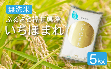 [051-a004] 無洗米  いちほまれ  5kg 