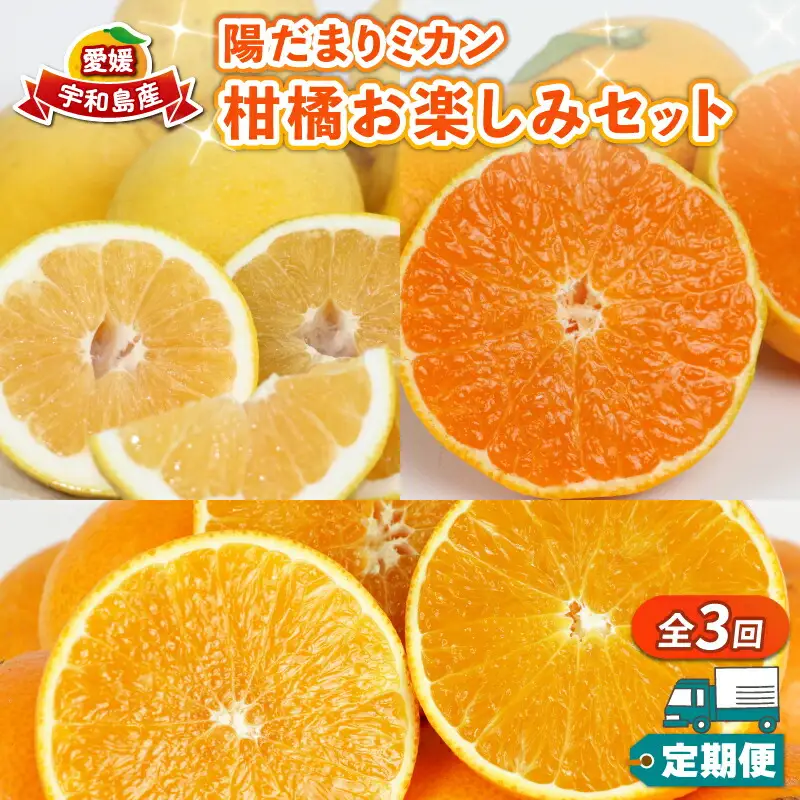 みかん定期便 全3回 陽だまりミカン 家庭用 みかん定期便 B045-050005
