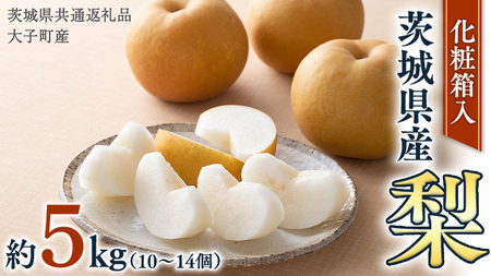 【化粧箱入り】梨 5kg（10〜14個）【2026年8月より発送開始】（茨城県共通返礼品 [梨]：大子町産）