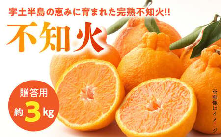 54-11　福島オレンジ農園 【贈答用】減農薬で安心安全なおいしい甘く熟した!!不知火　約3kg_U54-0011